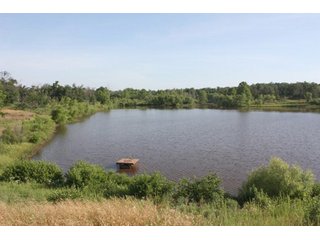 Property photo 9 - Creek County - Oklahoma Land Auction, 1,107 Acres 2 Tracts